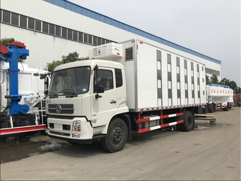 سيارة نقل الحيوانات للدنفينج تاينجين
